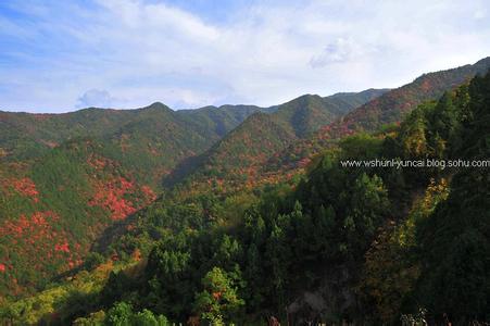 宜川天气预报10天查询