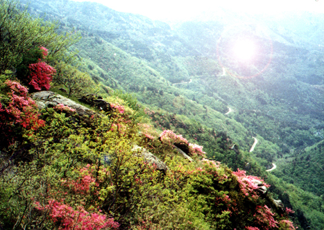武汉云雾山郊野公园天气